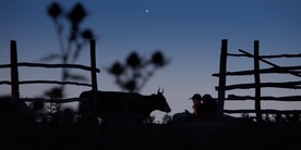 Still frame Poletne počitnice (2025)