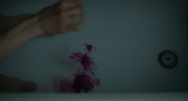 Still frame Drobna ptica (s.d.)