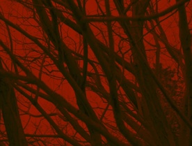 Still frame Glas (2025)