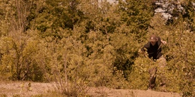 Still frame Phonecalypse (2024)