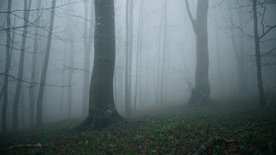 Still frame Nekoč v Posočju (2024)