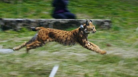 Skupaj za rise (2023)