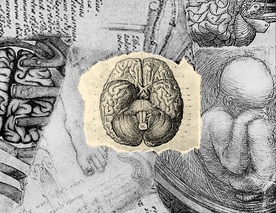 Deconstruction (2025)