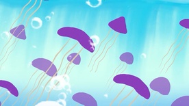 Kader iz filma Prigode Ribi Bibi (2025)