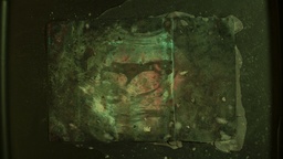 Kader iz filma Nihče ni nikoli gledal slonov kot ti (2025)