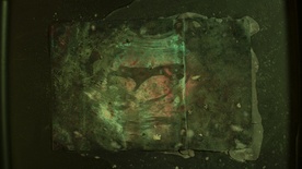 Still frame Nihče ni nikoli gledal slonov kot ti (2025)