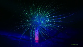 Kader iz filma Kožna fluorescenca bele človeške ribice (2024)