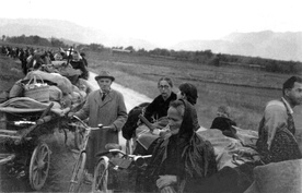 Arhivsko gradivo uporabljeno v Otroci s Petrička (2007).