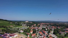 Kader iz filma Oto 2 (2022)