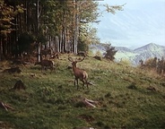 Kader iz filma Turnir pri Šumiku (1965)