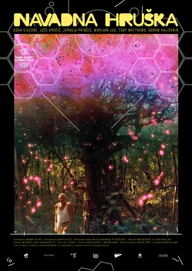 Navadna hruška (2025)