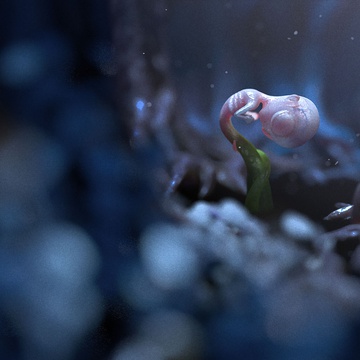 Still frame Celica (2017)