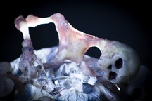 Kader iz filma Naša Gospa Trohnenja (2024)