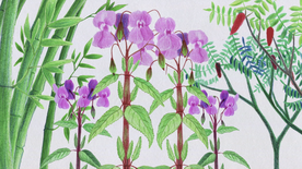 Idealno stanje (2022)