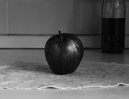 Kader iz filma Senescenca (2025)