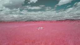 Still frame Siddharta ~ Na nebu (2025)