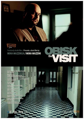 Obisk (2010) (I)