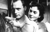 Spletna projekcija filma Ne čakaj na maj