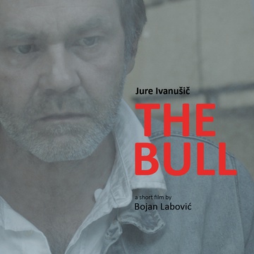 The poster for Bik (2019). In this photo:  Jure Ivanušič