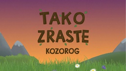 Still frame Tako zraste ...: Kozorog (2023)