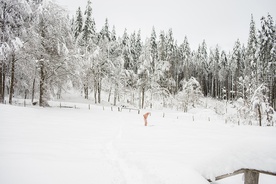 Johan Leysen on the set of Pink Moon (2022).