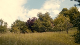 Still frame Po dežju (2025)