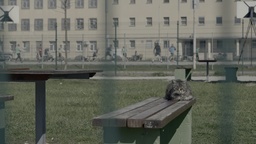 Kader iz filma Ko pridem ven (2025)