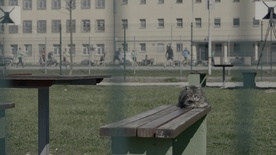 Kader iz filma Ko pridem ven (2025)