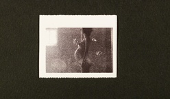 Kader iz filma Nihče ni nikoli gledal slonov kot ti (2025)