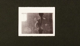 Still frame Nihče ni nikoli gledal slonov kot ti (2025)