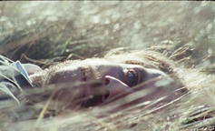 Alen Rivić v filmu Zgodba o vetru (2025).