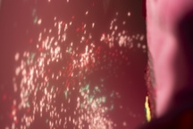 Kader iz filma Nihče ni nikoli gledal slonov kot ti (2025)