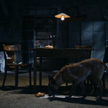 Still frame Človek s senco (2019)