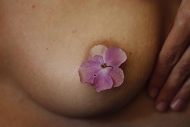 Still frame Nihče ni nikoli gledal slonov kot ti (2025)