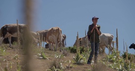 Still frame Gora se ne bo premaknila (2025)