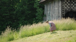 Terezija Košir v filmu Trezi (2019).