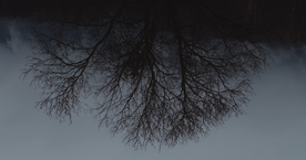 Still frame Bela Koprena (2025)