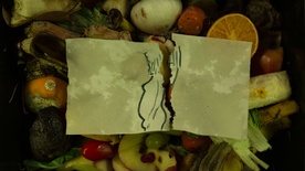 Still frame Nihče ni nikoli gledal slonov kot ti (2025)