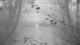 Still frame Not Go Gentle (2022)