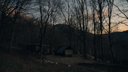 Still frame Drežniška koza in njeni ljudje (2025)