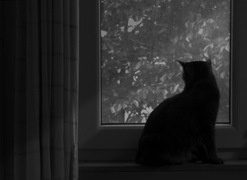 Kader iz filma Deset do sedmih (2020)