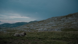 fotografija s snemanja Gora se ne bo premaknila (2025)
