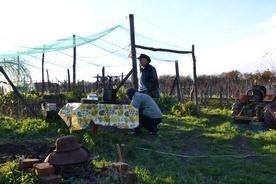 Kader iz filma Free Božidar (2014)