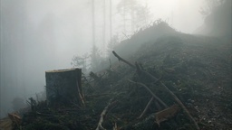 Kader iz filma După cioate (2025)