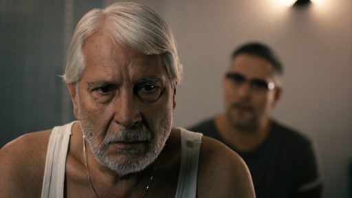 Boris Cavazza v filmu Nahrani me z besedami (2012).
