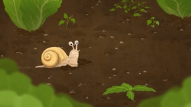 How It Grows... Snail