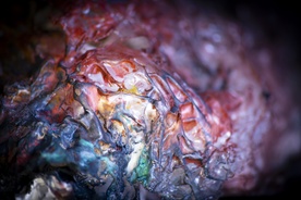 Still frame Naša Gospa Trohnenja (2024)