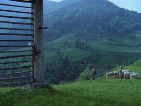 Still frame Pastirci (1973)