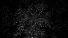 Still frame Drevo (2025)