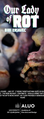 Naša Gospa Trohnenja (2024)